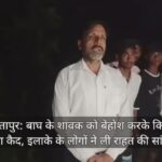 बाघ के शावक को बेहोश करके किया गया कैद, इलाके के लोगों ने ली राहत की सांस