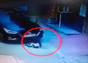 The Car Rider Ran Over The Calf. – Lucknow News