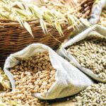 Jhansi:गेहूं, चावल के साथ मिलेगा ज्वार और बाजरा भी, गोदाम में पहुंचा अनाज, जल्द होगा वितरण – Jhansi: Jowar And Millet Will Also Be Available Along With Wheat And Rice