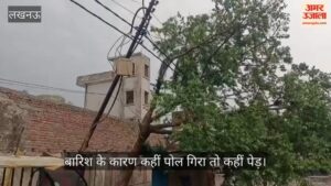 VIDEO: बारिश के कारण कहीं पोल गिरा तो कहीं पेड़, बिजली भी हुई बाधित