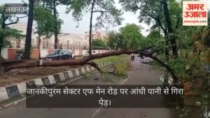 जानकीपुरम सेक्टर एफ मेन रोड पर आंधी पानी से गिरा पेड़, आवागमन में हो रही मुश्किल