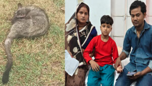 Jalaun:दूसरी मंजिल पर सो रहे मासूम पर कब्र बिज्जू का हमला, लोगों ने जाल में पकड़कर जंगल में छोड़ा – Jalaun: Civet Cat Attacks Sleeping Child On Second Floor; Locals Capture It In Net And Release It Into Forest