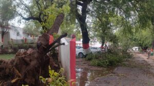 Orai:आंधी-पानी ने मचाई भारी तबाही, सड़कों पर गिरे सैकड़ों पेड़, बिजली व्यवस्था ध्वस्त, बहाली में जुटी टीमें – Orai Storm And Rain Wreak Havoc Hundreds Of Trees Down On Roads Power Infrastructure Collapses