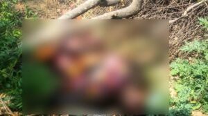 Jalaun:हाईवे किनारे मिला सड़ा-गला अज्ञात शव; शरीर पर रेंग रहे थे कीड़े, शिनाख्त के प्रयास में जुटी पुलिस – Jalaun Decomposed Unidentified Body Found Along Highway Maggots Crawling On The Corpse