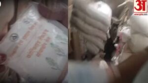 Up:केस में फाइनल रिपोर्ट मंजूर नहीं; Jvs फूड्स को मिला पुष्टाहार आपूर्ति का काम, अफसरों से मिलीभगत की आशंका – Final Report In Case Not Accepted Jvs Foods Awarded Contract For Supplementary Nutrition Supply In Up