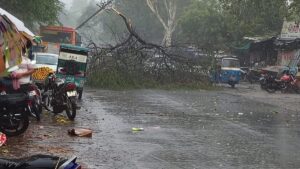Jhansi:मऊरानीपुर में आंधी-बारिश का कहर, कई पेड़ व बिजली के पोल गिरे, सुधार कार्य में जुटे विद्युत कर्मी – Jhansi: Havoc Caused By Storm And Rain; Several Trees And Electricity Poles Toppled