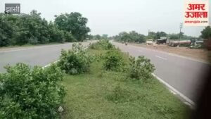 हरियाली और सुरक्षा के नाम पर करोड़ों खर्च के बाद भी सुधार नहीं, एनएच-44 के डिवाइडर पर जंगली झाड़ियां – No Improvement Despite Spending Crores In The Name Of Greenery And Safety; Wild Bushes Cover The Nh-44 Divider.
