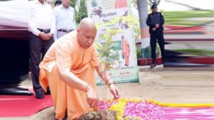 यूपी:प्रदेश में रविवार को रोपे जाएंगे 35 करोड़ पौधे, ऑनलाइन अपलोड होगा वृक्षारोपण; सीएम रहेंगे मौजूद – Up: 35 Crore Saplings Will Be Planted In The State On Sunday, Tree Plantations Will Be Uploaded Online; Cm Wil