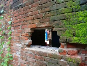 Jalaun News:दीवार तोड़कर घर में घुसे चोर, नकदी व जेवरात पार – Thieves Break Through Wall To Enter House; Cash And Jewelry Stolen