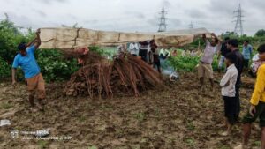 Jalaun News:खेत में तिरपाल लगाकर किया अंतिम संस्कार – The Last Rites Were Performed By Putting A Tarpaulin In The Field