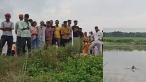 श्रावस्ती:नहर में मिली डॉल्फिन, रेस्क्यू के बाद राप्ती में छोड़ते समय मौत; चर्चाओं का बाजार गर्म – Dolphin Found In Canal In Shravasti Died While Being Released Into Rapti River After Rescue